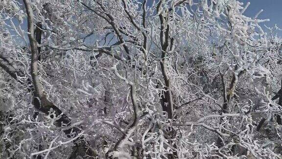 新鲜山雪鸟瞰图