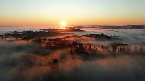 天空的晨雾在日出时漂浮在葡萄种植区