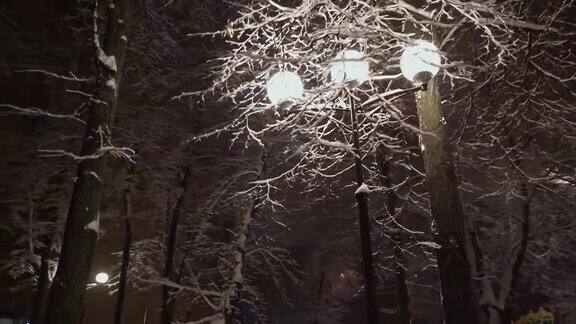 圣诞节的天气白雪覆盖着树枝雪花纷飞夜晚的城市景观