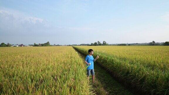 一个亚洲的中国男孩有一个有趣的周末在稻田与吹泡沫在早上