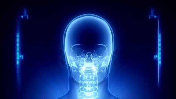 人脑x射线扫描