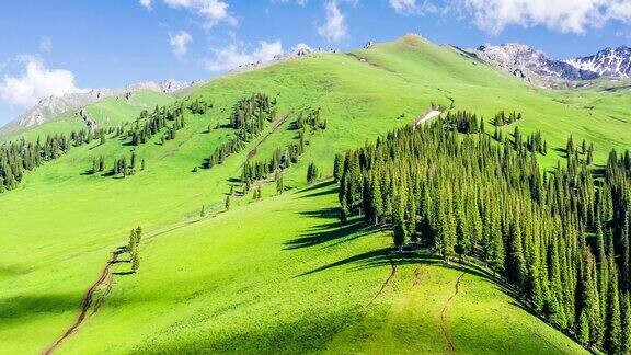 美丽的那拉提草原风光在新疆中国