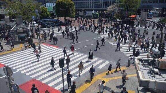 行人穿过东京涩谷十字路口
