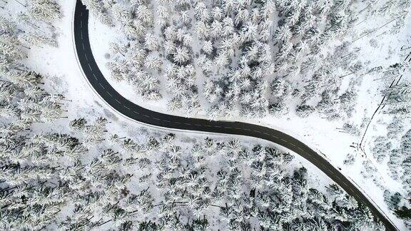 穿过白雪覆盖的森林