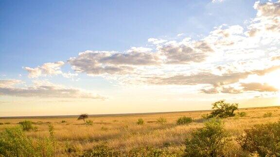 日落时分的纳米比亚草原