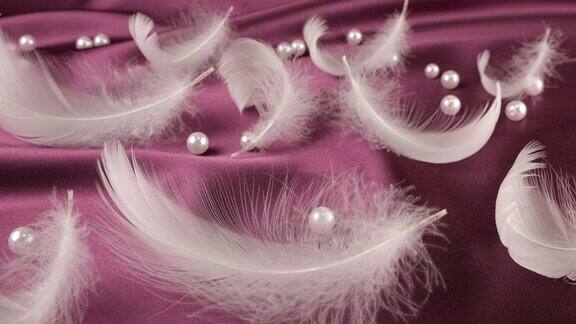 白天鹅羽毛在紫梅丝绸与珍珠