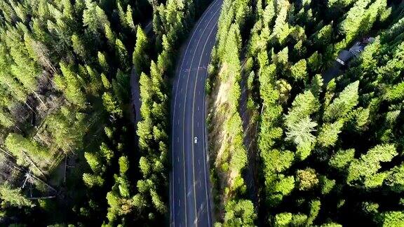 无人驾驶飞机的视图在森林公路以北的加州内华达山脉茂密的森林无人机视图
