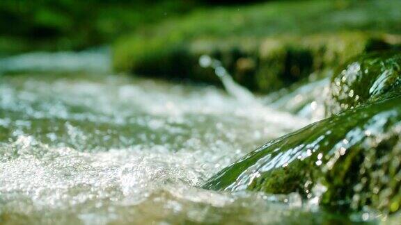 SLOMO森林中的小溪流水