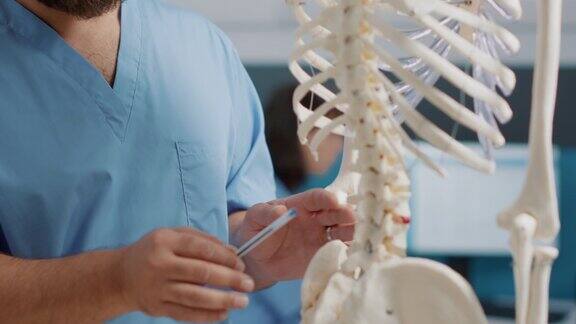男性整骨医生解释人体骨骼检查中的骨骼
