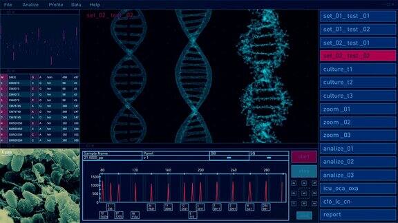 数字技术用户界面DNA