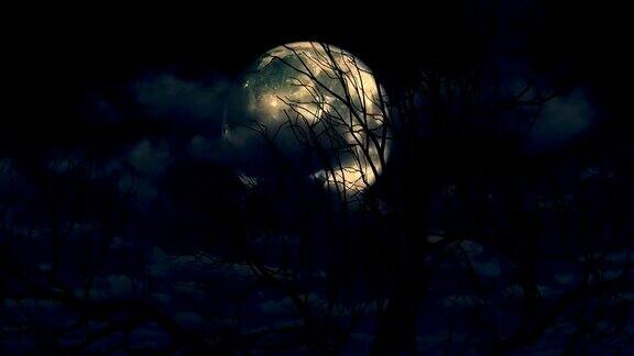 月亮从云和树中升起