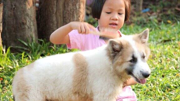 小女孩在花园里给她的狗梳头
