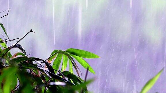 有拷贝空间的暴雨