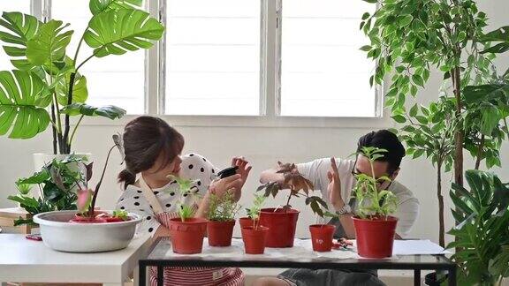 亚洲年轻夫妇在家里的花园里照顾他们的植物