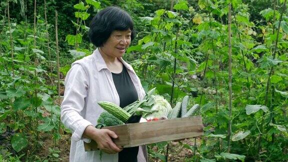 老妇人拿着装着蔬菜的箱子