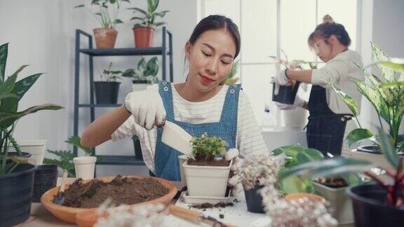 年轻的亚洲妇女在早晨在家里把植物移栽到新的花盆里