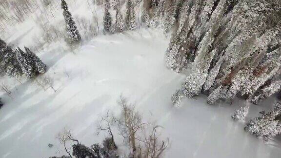 雪山松林俯视