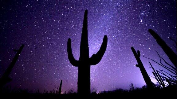 亚利桑那州索诺拉沙漠中一棵撒瓜罗仙人掌的天文时间流逝