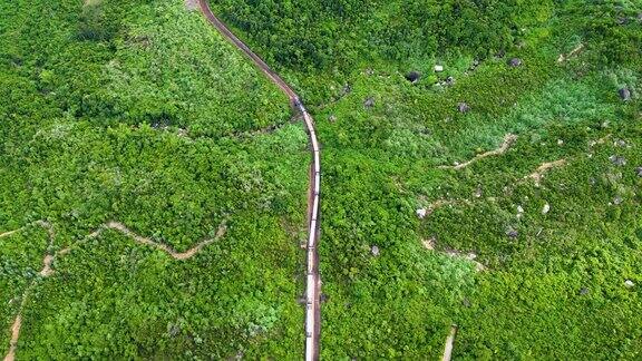 在热带森林里行驶的旅客列车