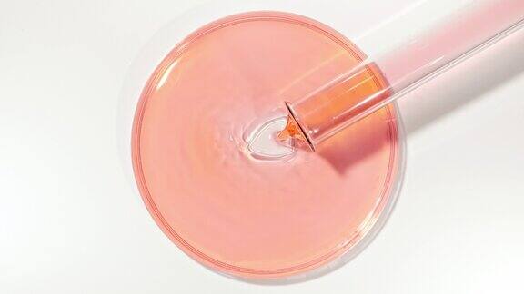 将试管中的透明液体油倒入培养皿中化学实验室研究天然有机化妆品医药天然化妆品生产特写