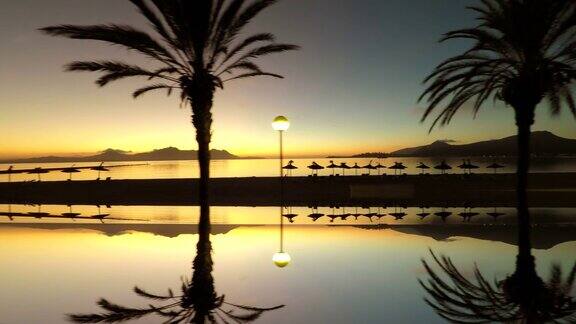 浪漫的日落在海边和岛上的棕榈树