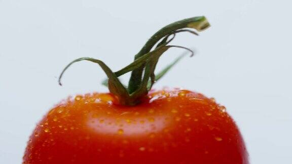 湿红番茄