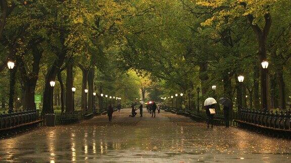 中央公园雨