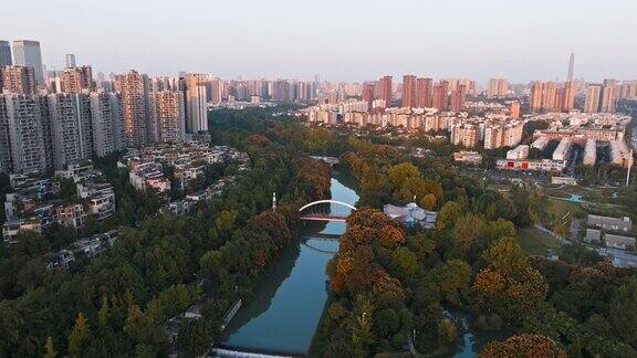 鸟瞰美丽的成都在秋日阳光明媚的森林公园滨江中国城市景观