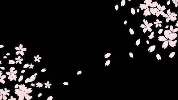 幻觉背景帧动画视频与漂浮的苍白樱花
