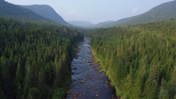 鸟瞰图的北方自然森林和河流在夏天魁北克加拿大
