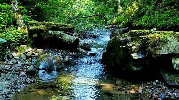 4k山溪中有石头和苔藓景观