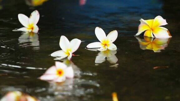 在泰国的雨季雨点落在地板上上面有五颜六色的花朵