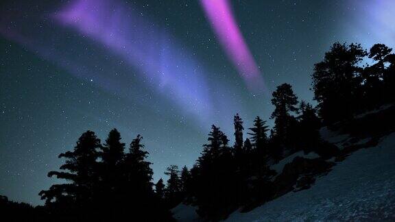 极光紫色在滑雪坡和森林01环
