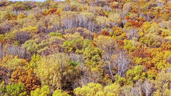 内蒙古多姿多彩的森林自然景观