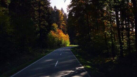 在阳光明媚的日子里驾车穿过秋天的森林