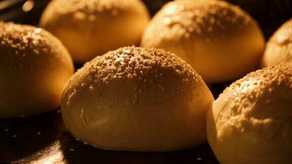 在烤箱里烤面包新鲜的芝麻包子烤汉堡用的小面包在烤箱里发酵