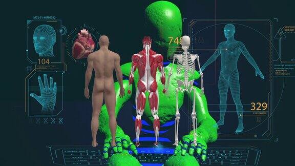 外星机器人半机械人三维与不同的科学家全息研究了未来HUD技术概念上的三维人体结构解剖骨架