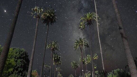 比弗利山大道棕榈树上的夜空银河