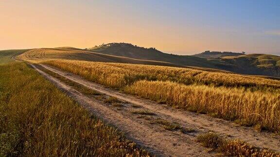 托斯卡纳小麦丘陵间的一条土路