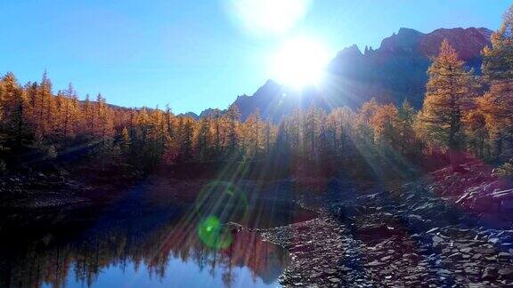 在阳光明媚的秋天向前空中飞越高山山谷湖泊和橙色落叶松森林阿尔卑斯山户外丰富多彩的自然景观山野秋实的建立4k无人机飞行建立镜头