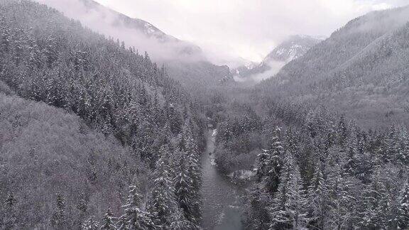 4K直升机观看灰色雾在森林山顶与雪花落在山谷河