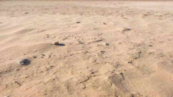 沙滩上的沙尘暴特写