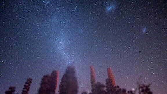 新西兰坎特伯雷特卡波湖的银河系和麦哲伦星云与星系恒星的时光流逝运动