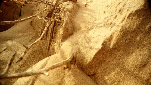 沙子像小溪一样破碎在超级近距离的沙漠里又多刺又干的沟