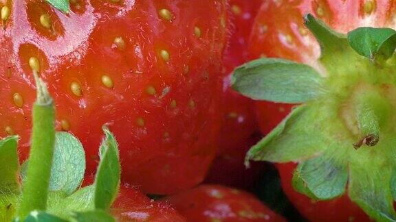 用平底锅舀上新鲜的草莓