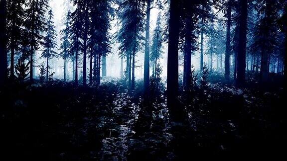 被外星白光照亮的神秘黑暗森林