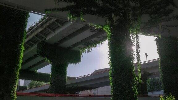 成都二环高架桥被攀缘植物包围