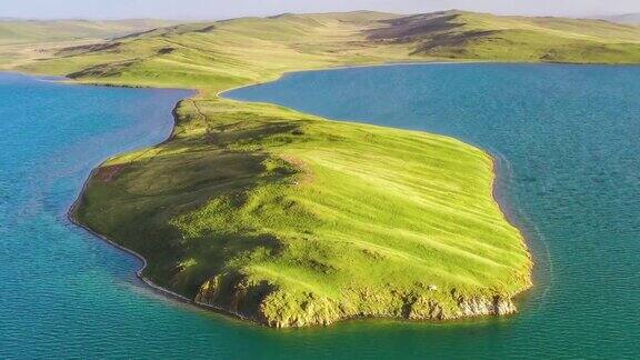 在青藏高原的湖中有一个充满绿色草原的半岛