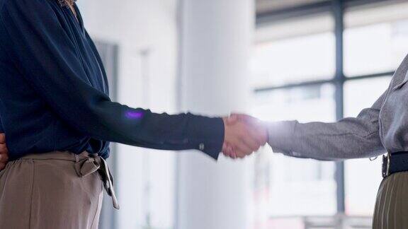 欢迎握手和商务人士在办公室面试交易或合作协议谢谢握手和女性团队招聘合作和b2b团队合作在初创公司提供