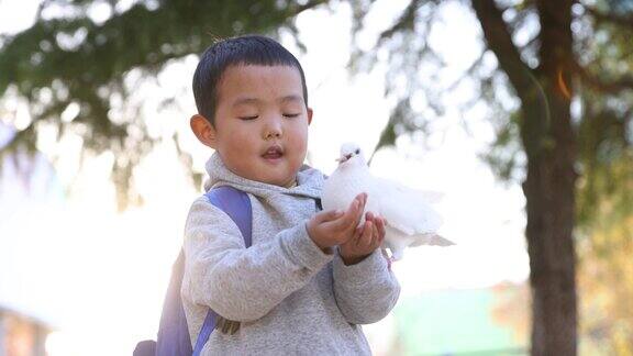 小男孩喂鸽子